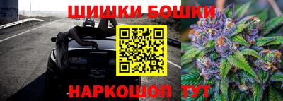 стафф Ставрополь